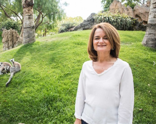Inmaculada Ibor: «Somos la única autonomía sin veterinario en los festejos taurinos»