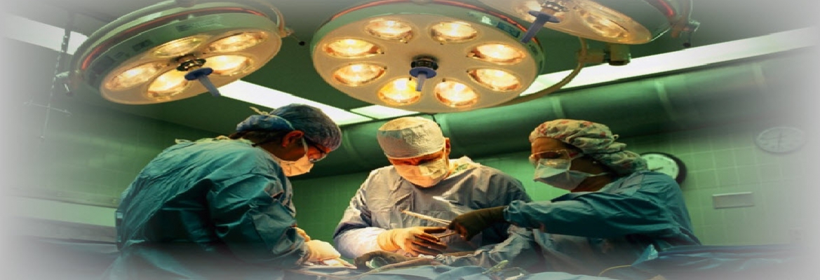 Una empresa ilicitana desarrolla un nuevo kit genético para la detección rápida del virus Zika