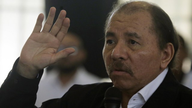  Sangre, sudor y estupidez