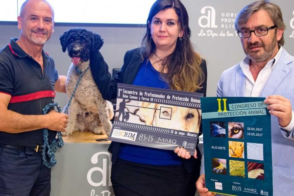 Guanyar cubre su vacante: Villar tomará el acta de concejal tras la renuncia de Domínguez