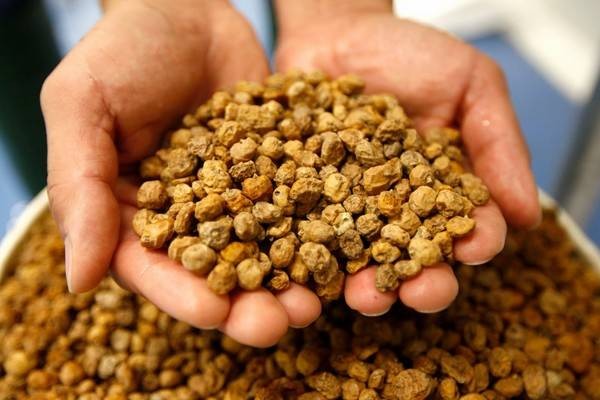 Trece empresas de alimentación valencianas se reúnen con la firma internacional Dima Trading
