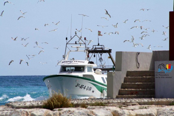 Cofradías pesqueras de las Marinas y l'Alacantí se unen para buscar ayudas europeas