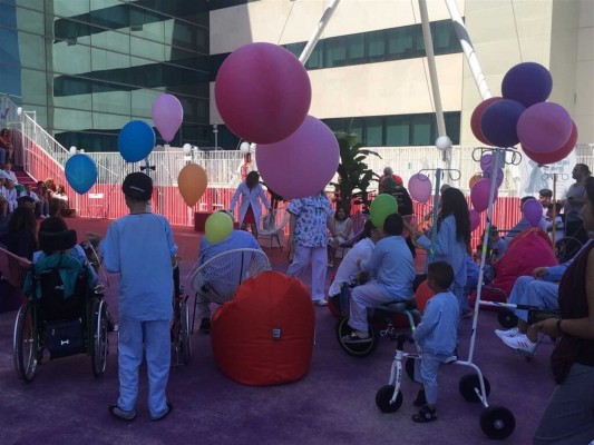 La Fe convierte su azotea en 'El Jardín de mi hospi', un lugar 