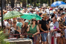 El sector hostelero de Elche calcula la generación de entre 800 y 1.000 empleos en las fiestas