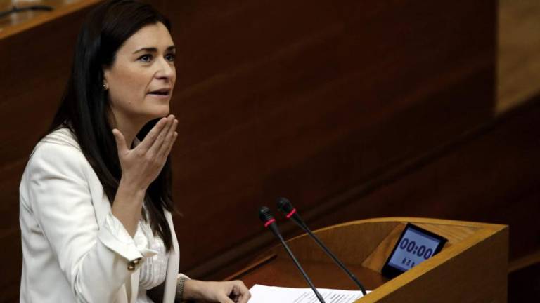 Carmen Montón (Foto: EFE) - 