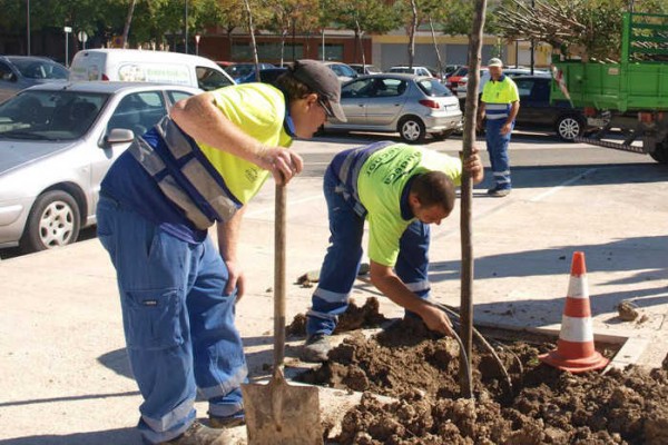 Elecnor se queda la contrata de jardines de San Vicente que pedía medir la 
