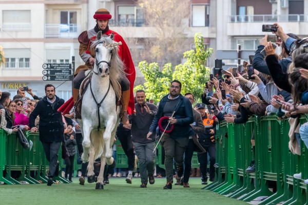 Carrera de Cantó 2022 en la Venida de la Virgen de Elche (Fotos: Pepe Olivares)