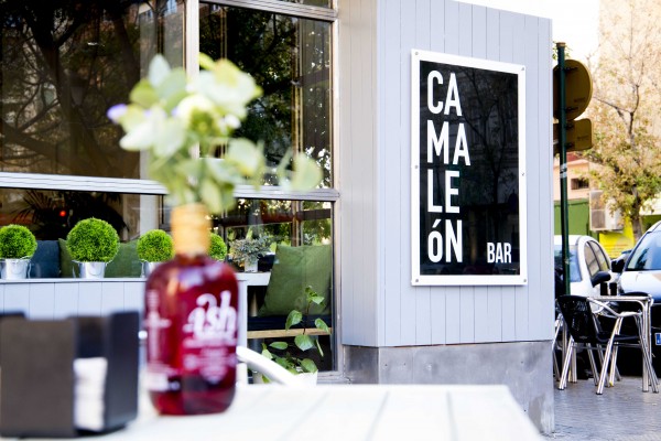 Camaleón bar