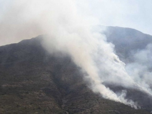 Estabilizado el incendio declarado en el Montgó en Jávea

