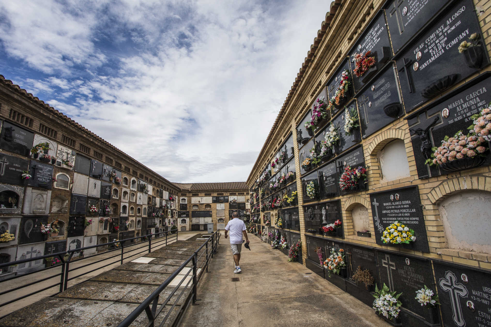 Ossaris entre les cel·les i les tramades. Foto: EVA MÁÑEZ. - 