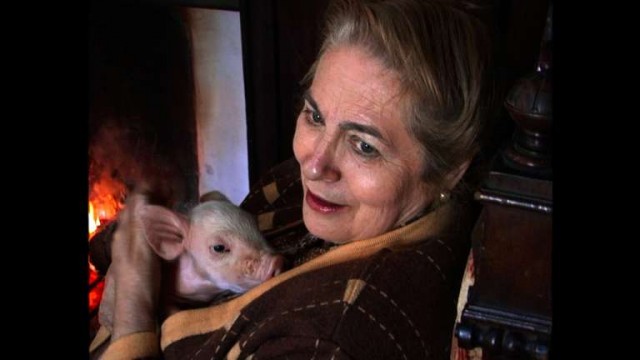 Muchos hijos, un mono y Casablanca: la Filmoteca d'Estiu enfrenta cine de hoy y clásicos 