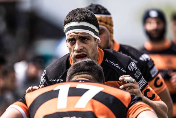 El Club de Rugby Les Abelles utilizará la plataforma Scoutim para captar talento a nivel mundial
 