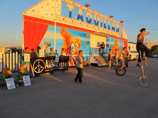 La batalla proteccionista: el veterinario municipal abre la puerta a los circos con animales