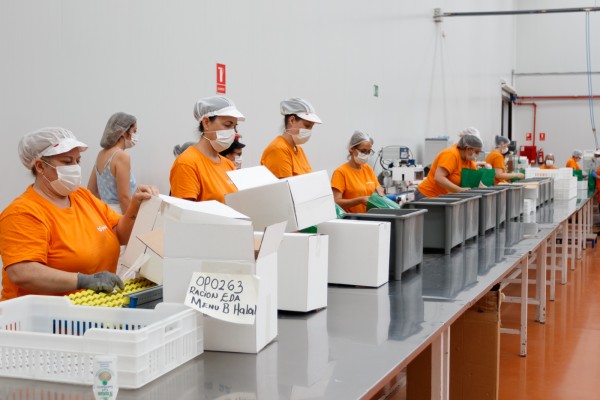 Dentro de Jomipsa en Mutxamel: el envasado de kits de acción social, emergencia y raciones de comida (Fotos: PEPE OLIVARES)