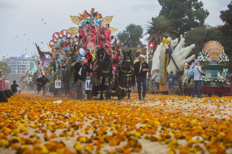 Preparados para la Batalla de las Flores