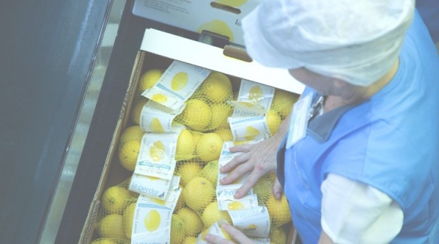 Citri&Co integra a la alicantina Perales&Ferrer para extender el mercado del limón ecológico