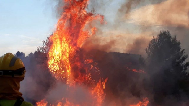 El incendio forestal de Llutxent supera ya las 1.500 hectáreas calcinadas y sigue activo