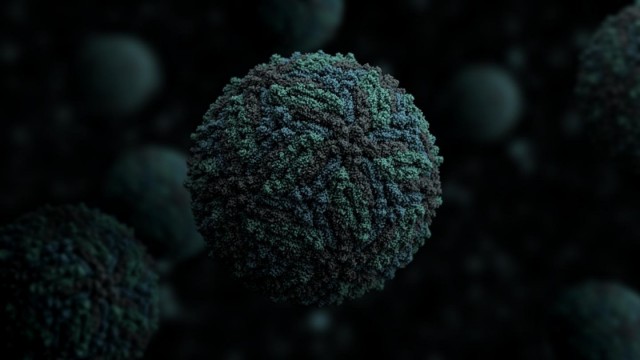 Desarrollan una vacuna experimental contra el virus del Zika que es eficaz en ratones