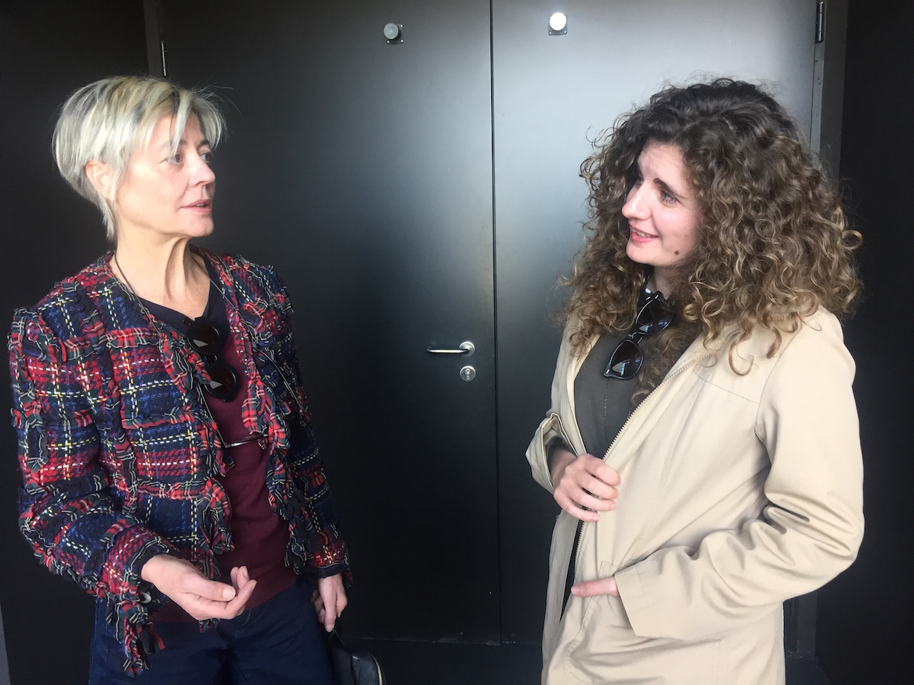 El arte de las fallas en entredicho