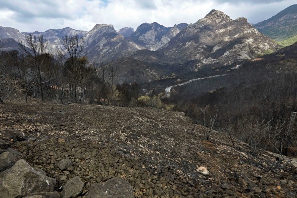 Gandia inicia las labores de limpieza de la zona afectada por el incendio


