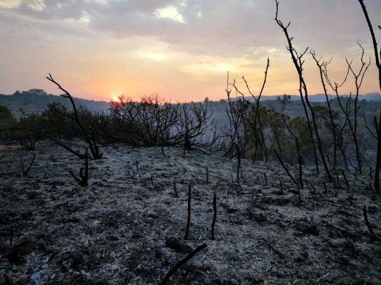 D’incendis i canícula