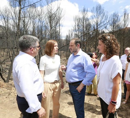 Ábalos promete intentar dar 