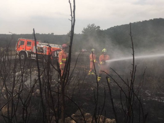 El 35% de los incendios se originó por un accidente o negligencia y el 24% fue intencionado

