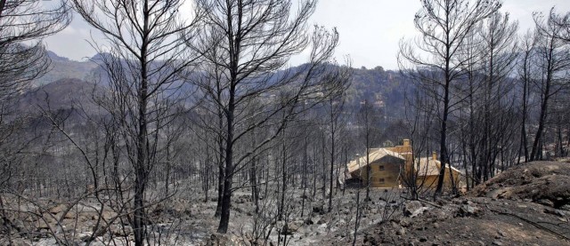 El Gobierno destina 750.000 euros para la zona arrasada por el fuego de Llutxent