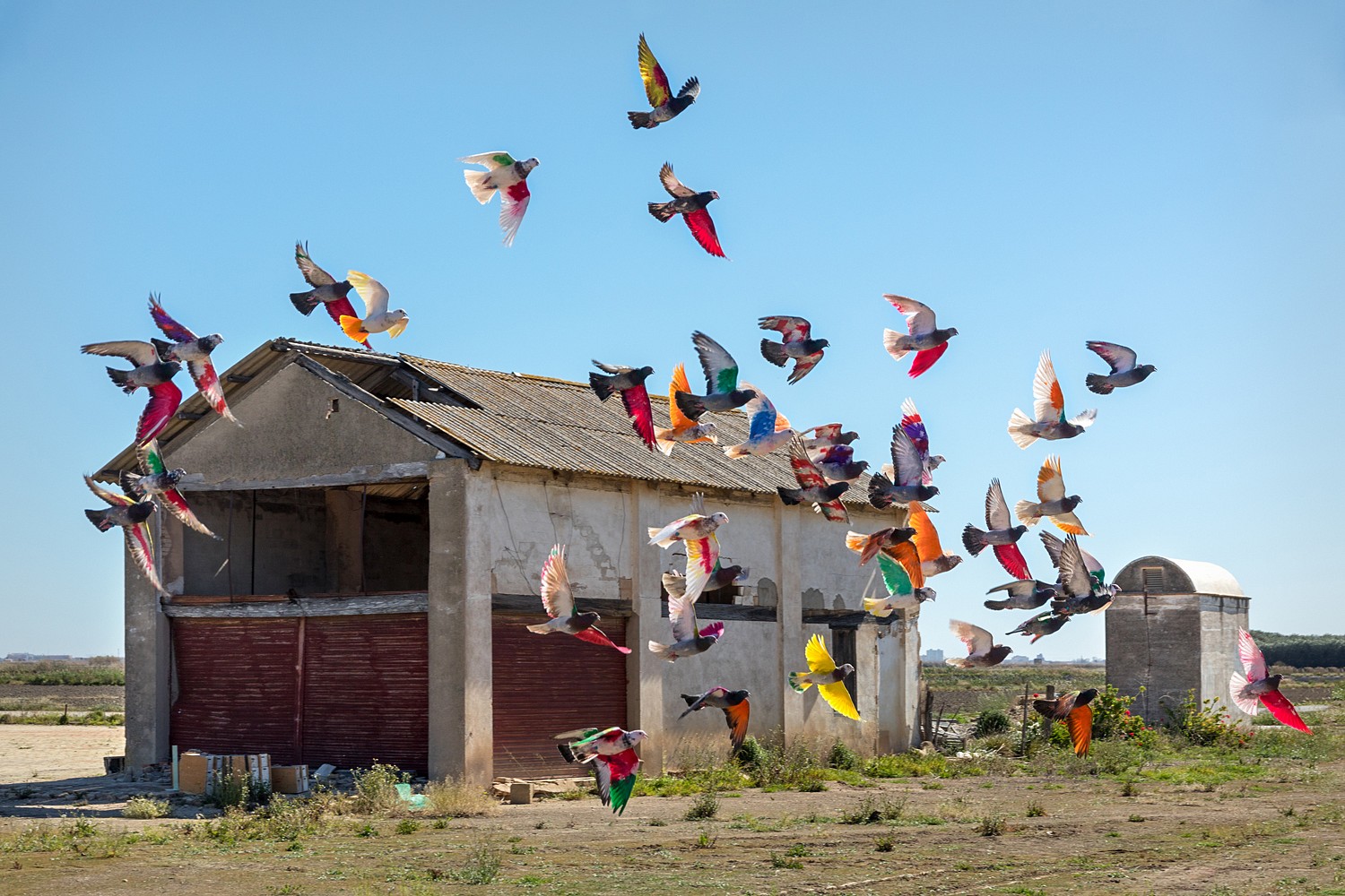 El proyecto 'Fueras Paraíso' disecciona el territorio valenciano en clave fotográfica