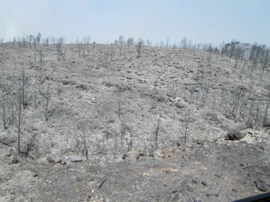 El foc climàtic