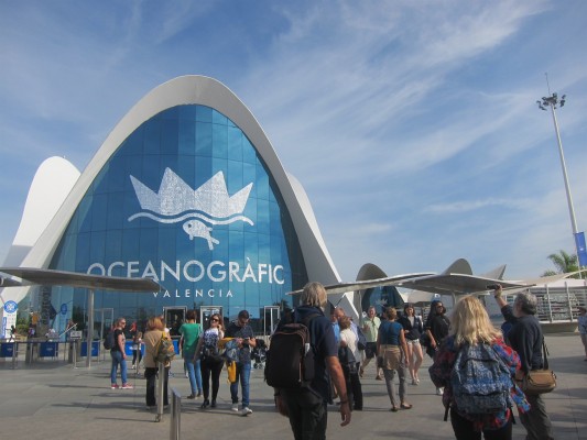 El Oceanogràfic, el segundo mejor acuario del mundo