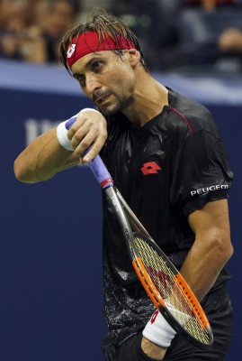 David Ferrer: 