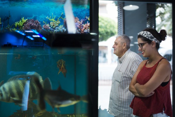 Sociedad Acuariófila: una burbuja de paz y naturaleza en el corazón de València 