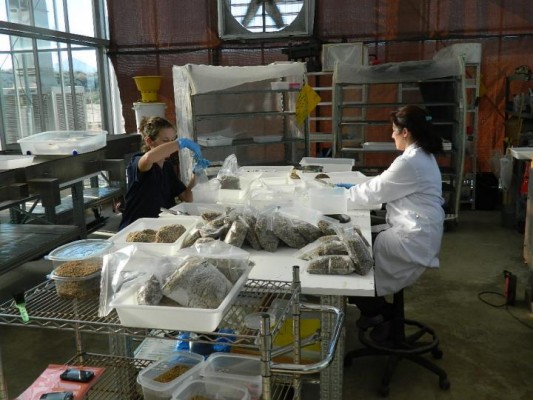 La empresa de la UA BioFlyTech capta 16 millones para producir proteínas de insectos