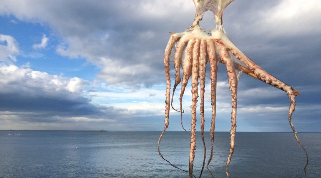 Deconstruint la Marina (gastronòmica)