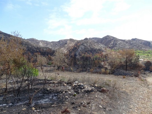 El Gobierno declarará zona de emergencia los lugares afectados por el incendio de Llutxent