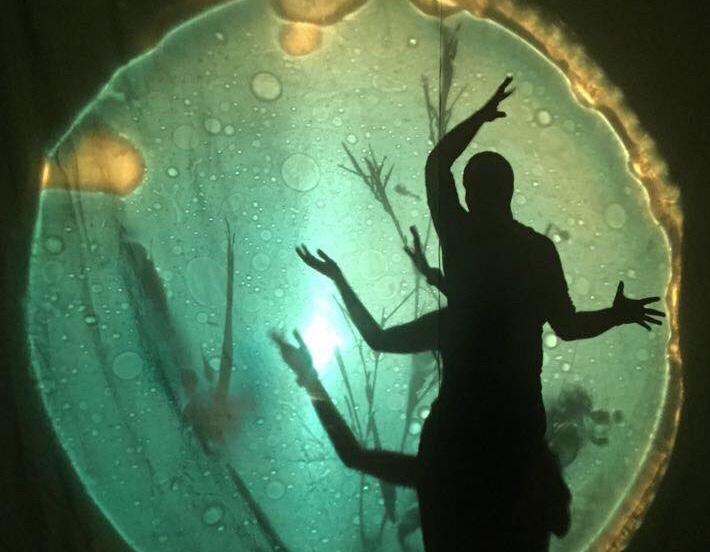 Miradas microscópicas y voces de refugiados: estas son las nuevas exposiciones del Centre del Carmen