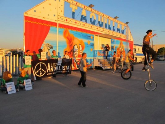 Guanyar defiende el veto a los circos con animales con enmiendas a la norma de protección animal