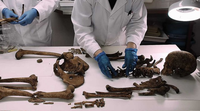 València analiza en una muestra cómo son las exhumaciones de las víctimas de la Guerra Civil