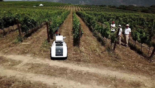 Un robot terrestre monitoriza parámetros clave en viñedos como saber cuándo activar riegos o vendimiar