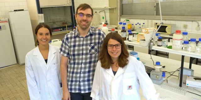 Descubren un mecanismo que optimiza la producción de proteínas que podría evitar tumores