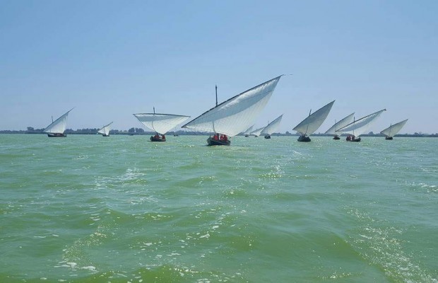 VI Exhibición de Vela Latina en l'Albufera 

