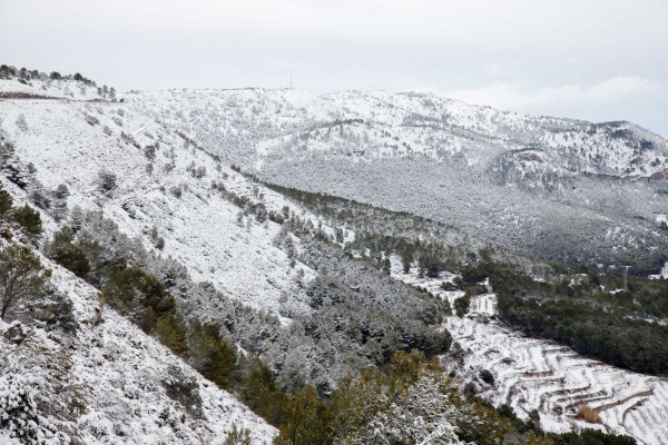 La nevada en el interior de Alicante, en imágenes (fotos PEPE OLIVARES)