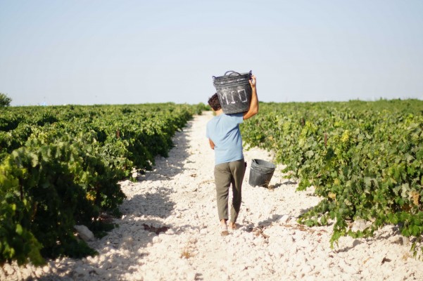 Albariza no es un nombre de mujer
