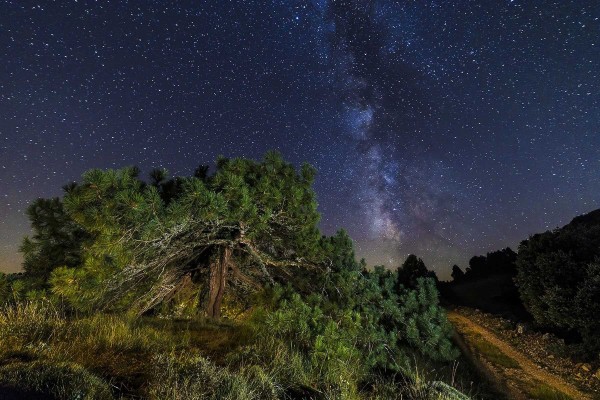 El Botànic inaugura la muestra fotográfica de Lluís Ibàñez a través de una ruta nocturna