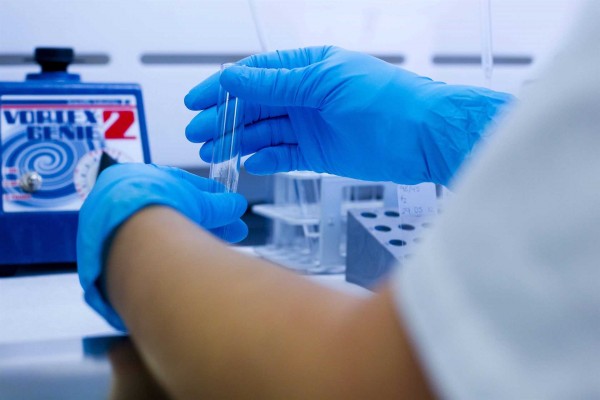  El proceso por el que el aceite y el vinagre no se mezclan también juega un papel en tumores sólidos