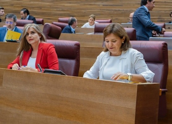 Bonig denuncia la 