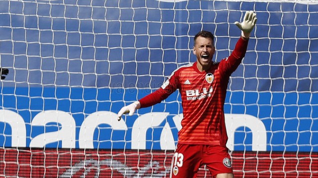 Neto: 