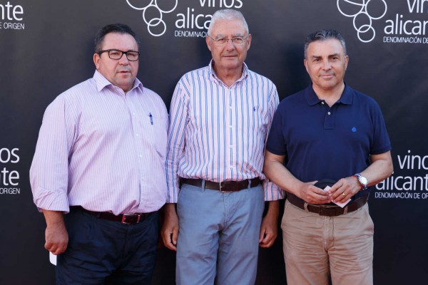 Winecanting Summer Festival de la D.O. Alicante en el Marq (Fotos: PEPE OLIVARES)