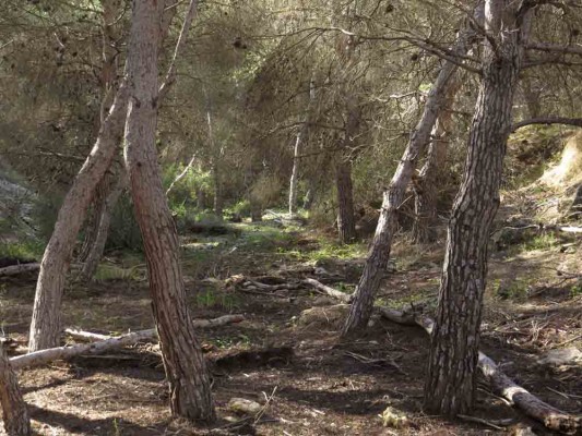 Colectivos ecologistas critican que Conselleria no intente paralizar la caza en la sierra de Santa Pola